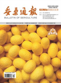 蚕桑通报期刊